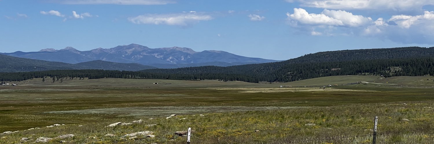 Ricardo 🐢🚴‍♂️🏃 banner