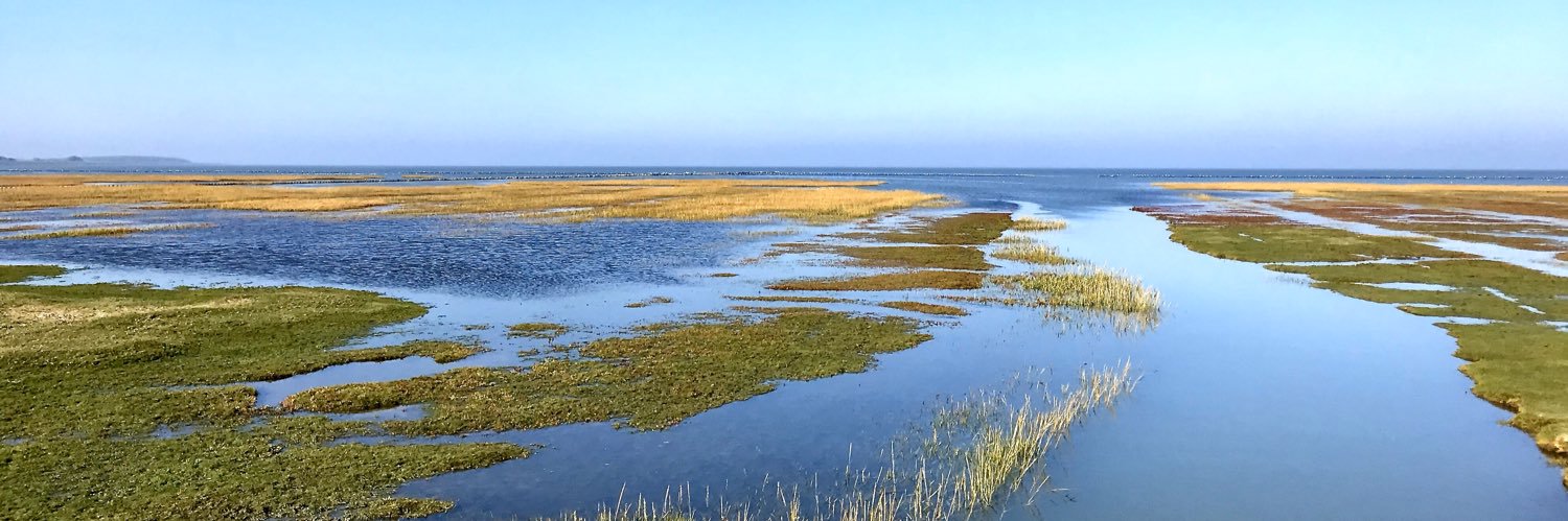 Waddenfotografie banner