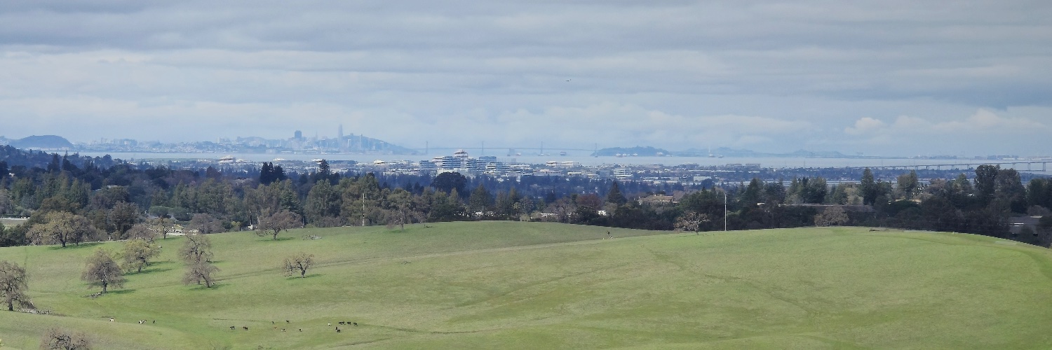 Mehrdad Afshari banner