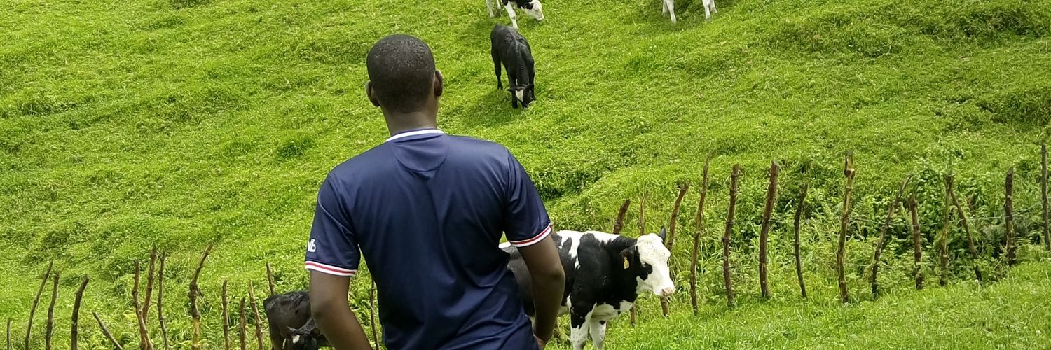 NYANGEZI banner