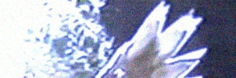 jennav0806's profile banner image