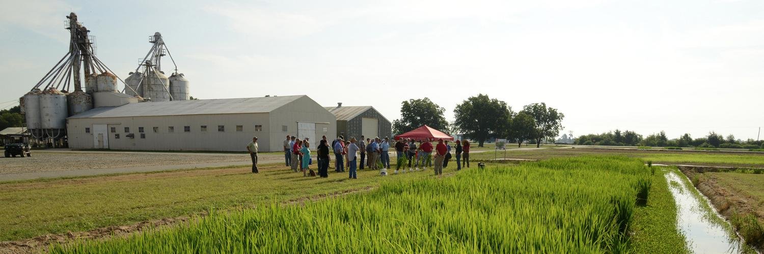ARiceExpo's profile banner image