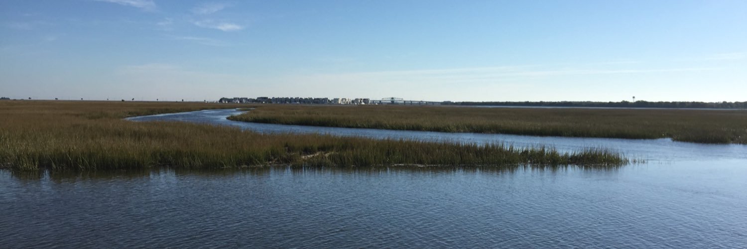 Matthew Ledford banner