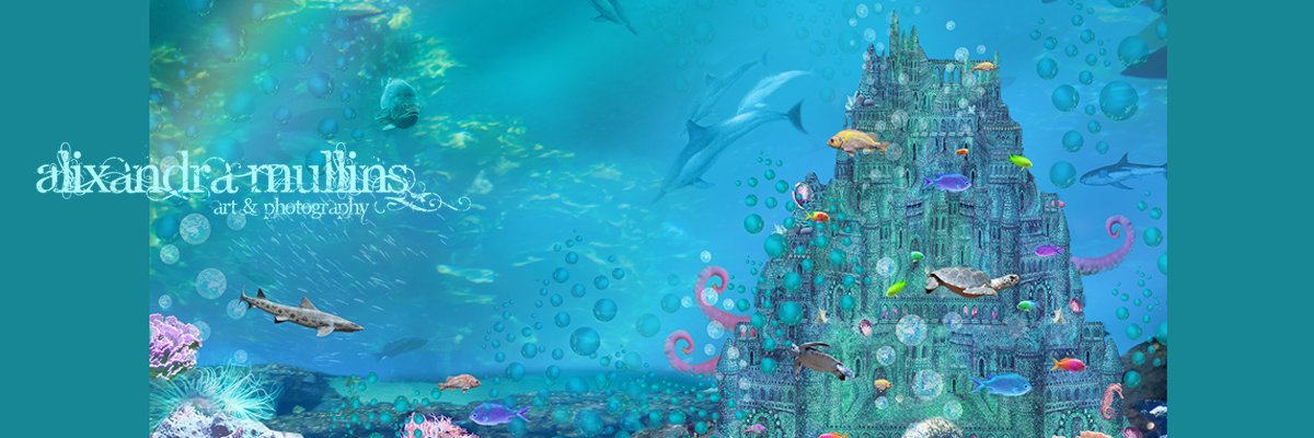 Alixandra13's profile banner image