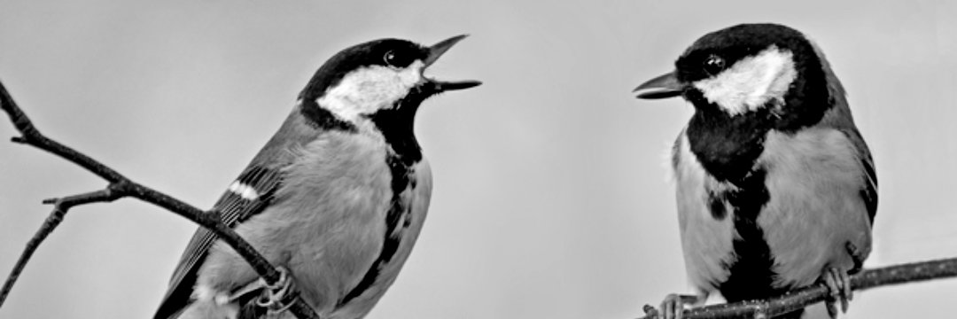 Den uafhængige tænketank Demoderniseringsstyrelsen banner