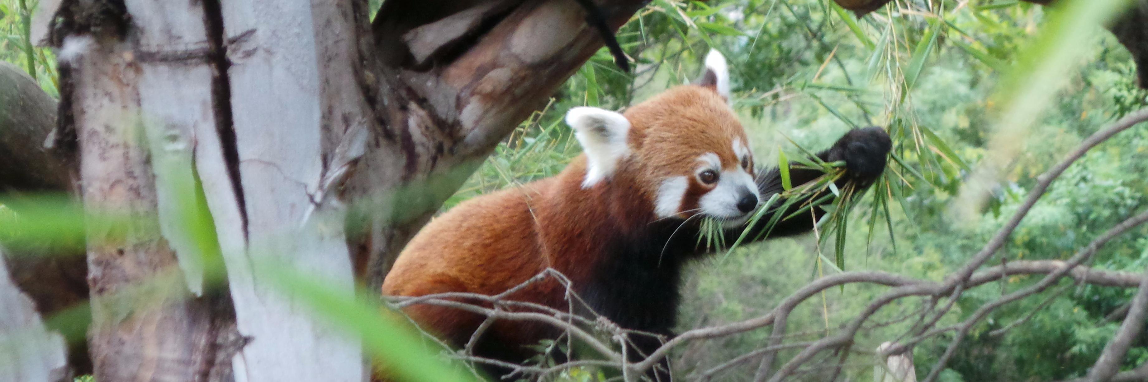 Tal Waterhouse banner