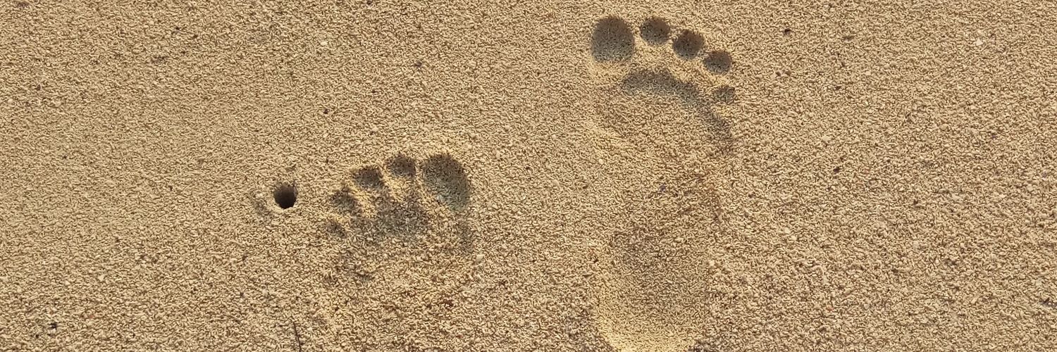 Dianasaurus92's profile banner image