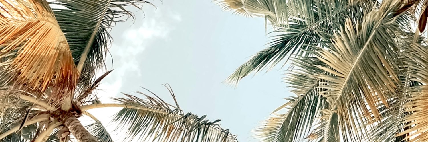 famous_meeks's profile banner image