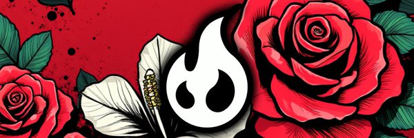 VelocitySVN Profile Banner