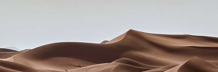 gxddxrd's profile banner image