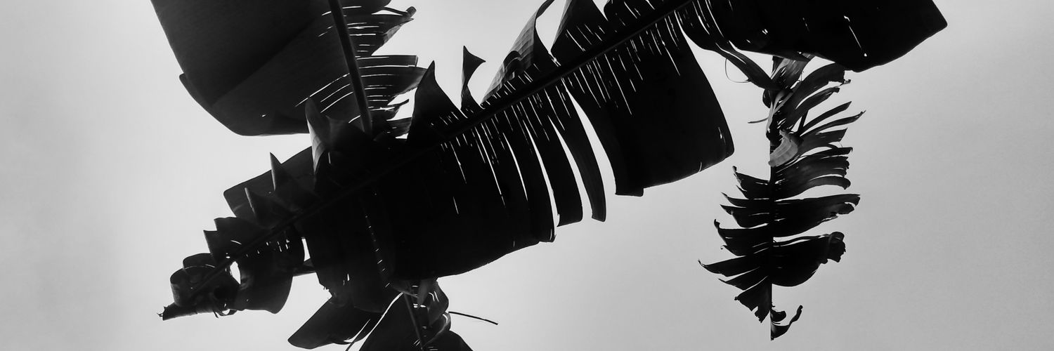 amondare's profile banner image