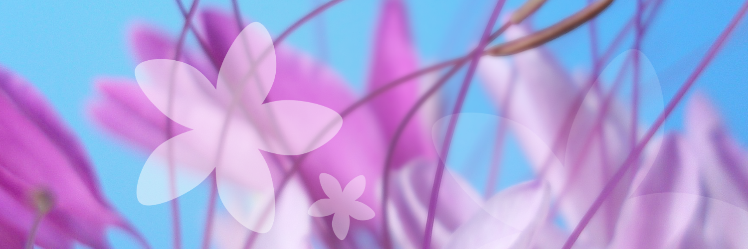 edith_ibloom's profile banner image