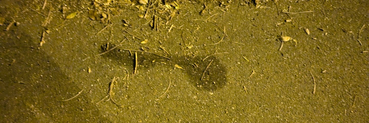 ローラーだお！🍏 banner