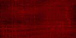 ShawnRWolfe's profile banner image