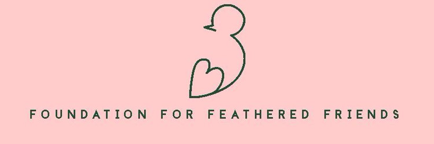 Foundation For Feathered Friends Profile Banner