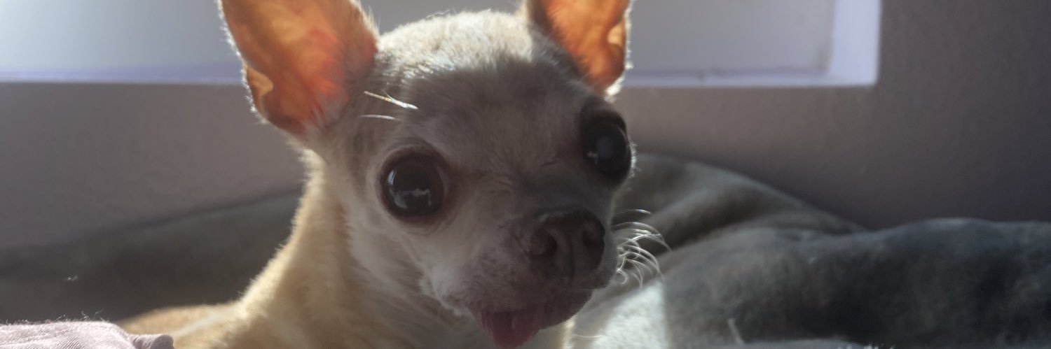 daisymaine7's profile banner image