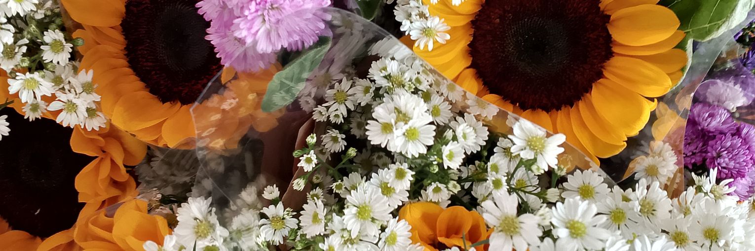 ⭐️🎨 Nueathong 🎤🐳 banner