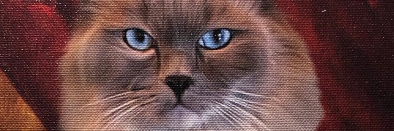 sevente57003398's profile banner image
