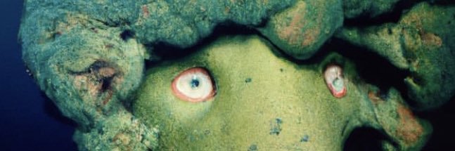 John Olive banner