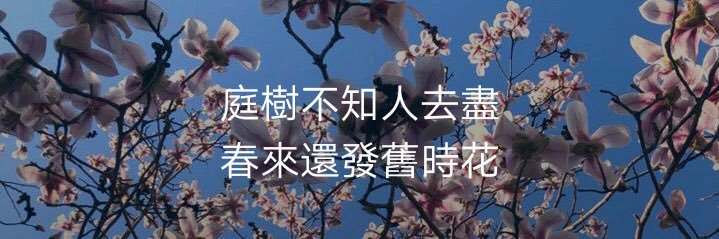 佛↗️跳↘️墙↗️ banner