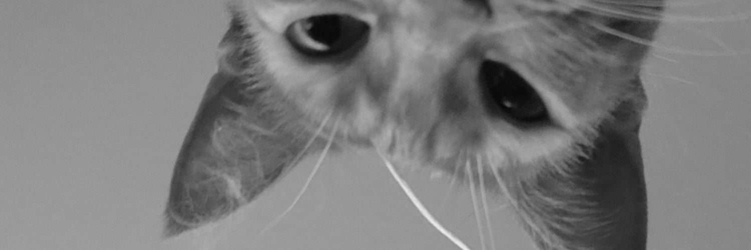 drelienn's profile banner image