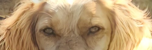 LarsFischer's profile banner image