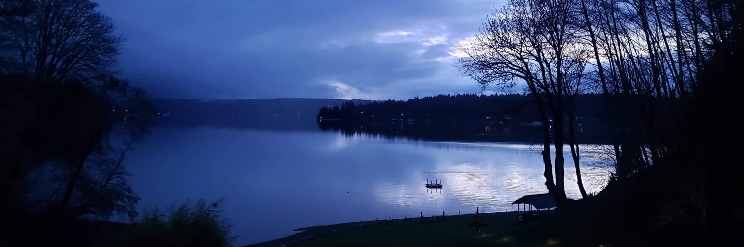 Gary Briggs 🟦 banner