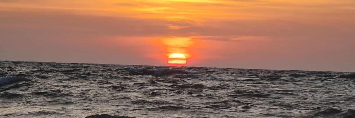 VivekNeetu11's profile banner image