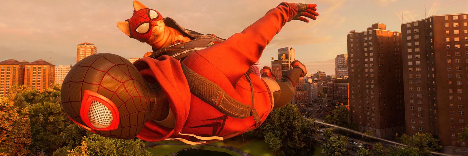 Steve banner