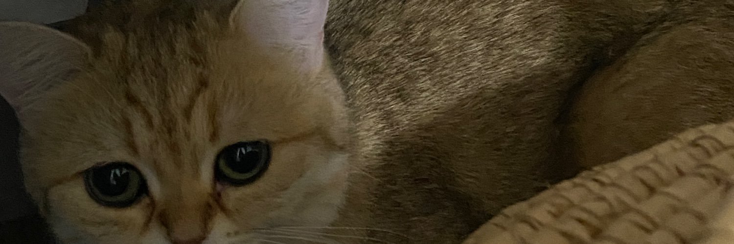 farina banner