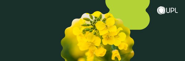 NPP_global Profile Banner