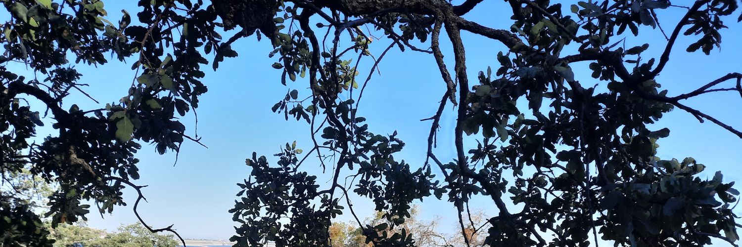 christynelynn's profile banner image