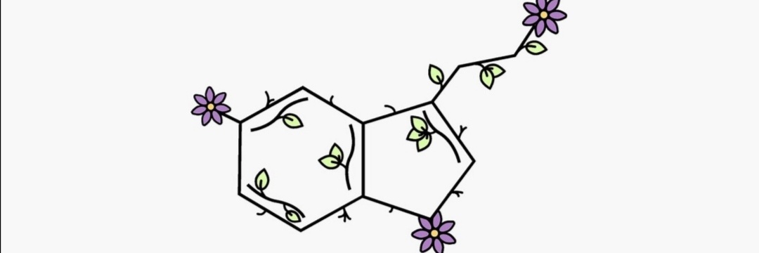 b__halime's profile banner image