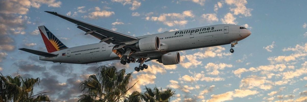 墙上的向日葵 banner