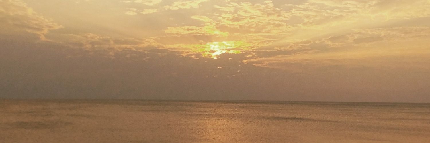 Kay_s_yu's profile banner image
