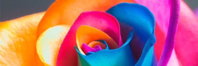 maitha51187's profile banner image