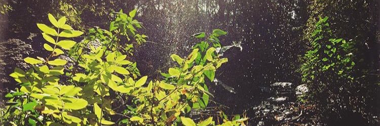 جيّان banner