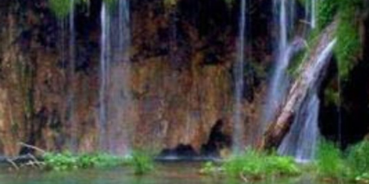 altyar2003's profile banner image