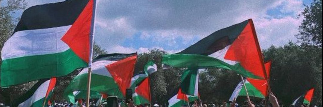 Hussein in Gaza 𓂆 🇵🇸's banner