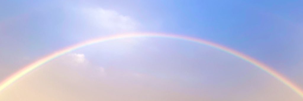 大竹えり banner
