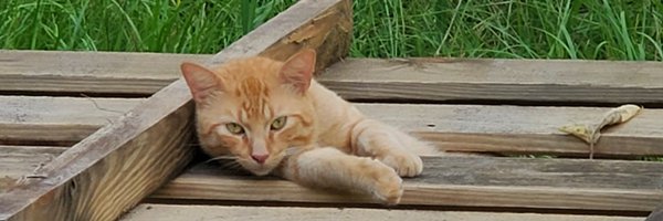 ResurrectdGypsy Profile Banner