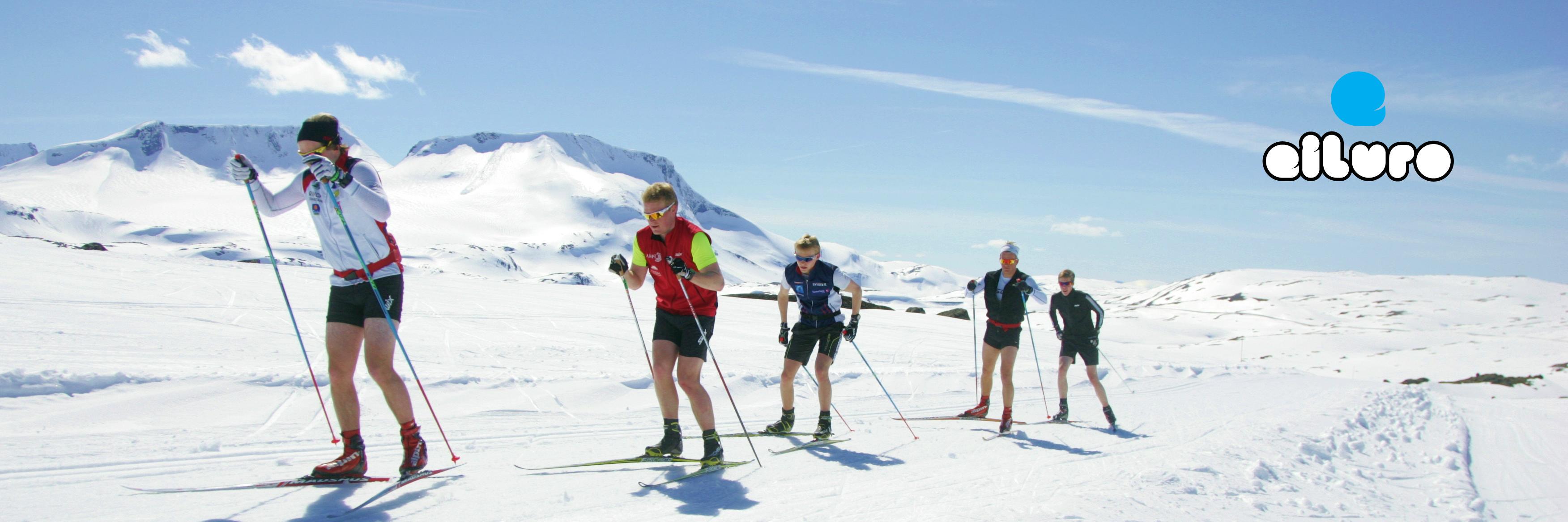 Eirik Stubdal Røer banner