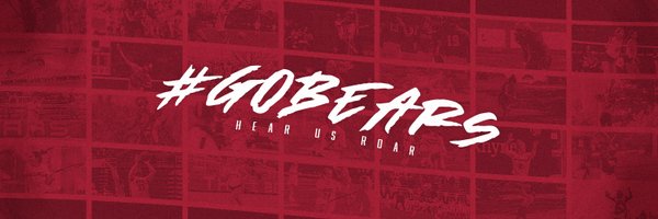 LRbears Profile Banner