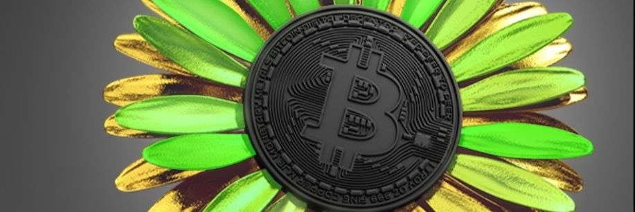 Swim 🐐 (✸,✸) | banner