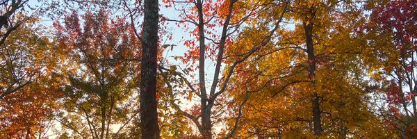 CompBeastCass Profile Banner