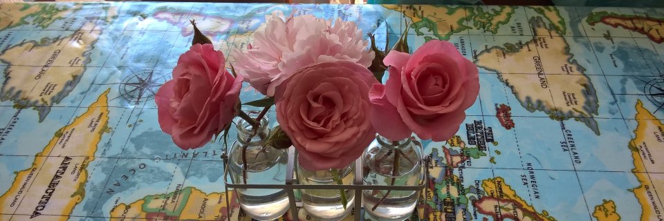 pipmulberry's profile banner image