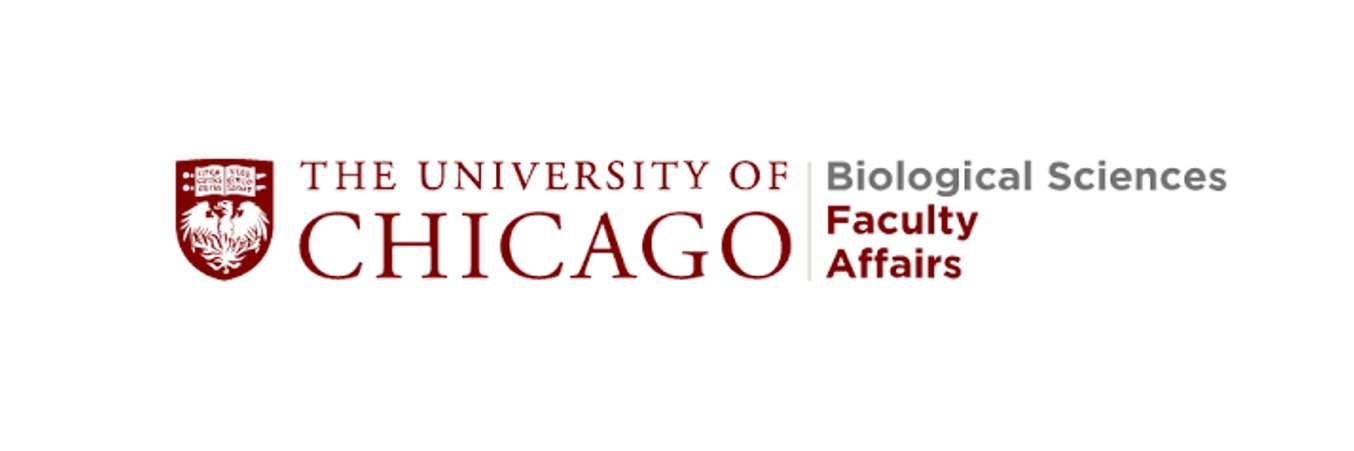 UChicago BSD Faculty Affairs banner