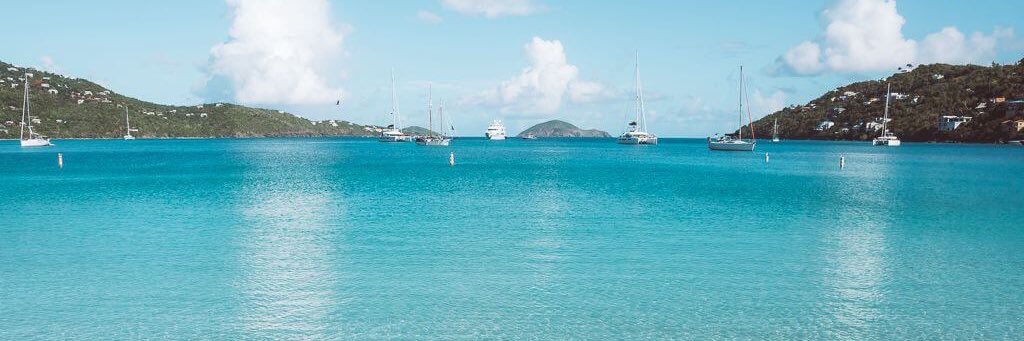 Theresa Akans banner