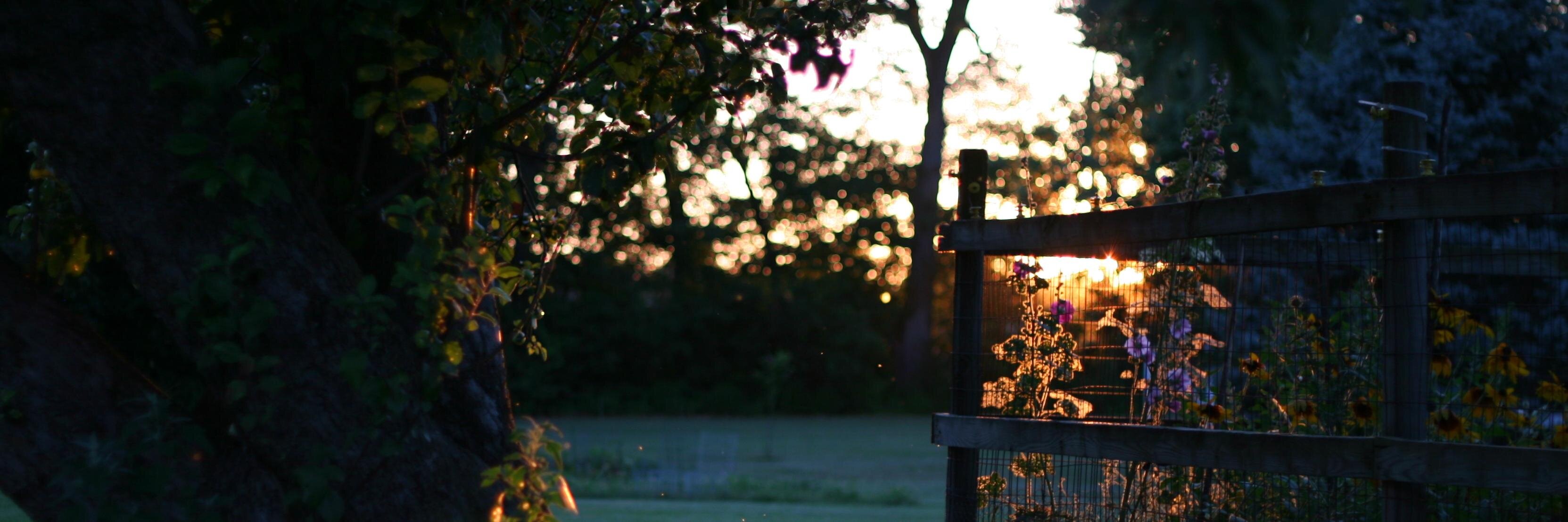 normaldotcom's profile banner image