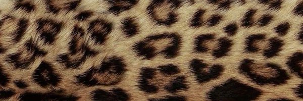 nkzhh Profile Banner